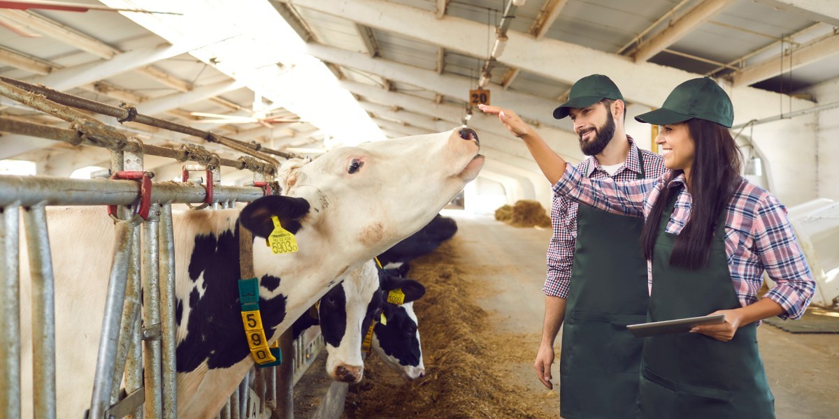 Harnessing RFID Technology for Precision Agriculture Management