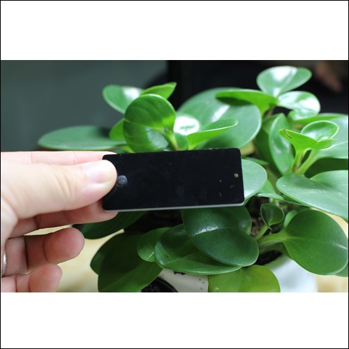 UHF Metal Tag JT-6025